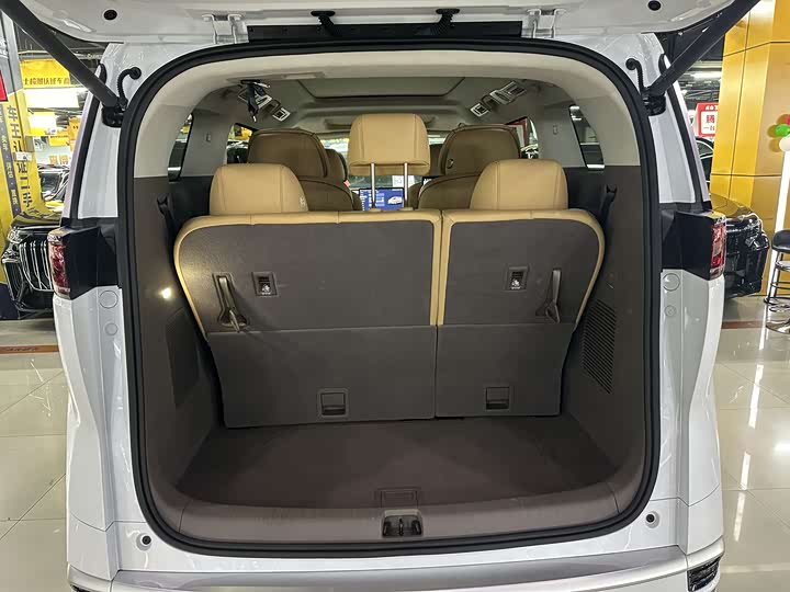 Фото 9 - Denza D9