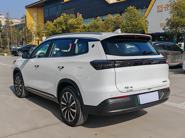 Фото 4 - Chery Fulwin T8