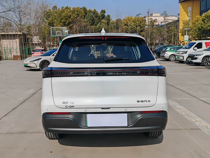 Фото 5 - Chery Fulwin T8