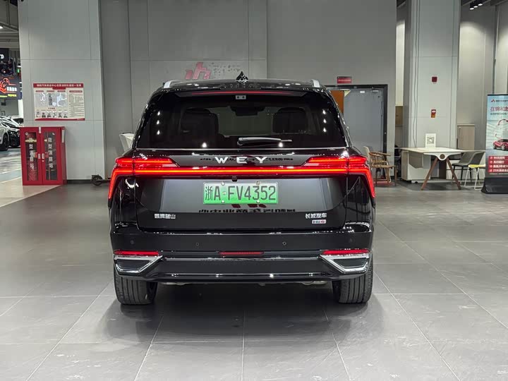 Фото 6 - Wey Lanshan