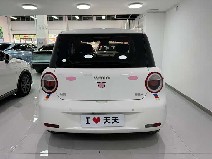 Фото 5 - Changan Qiyuan (Nevo) Lumin