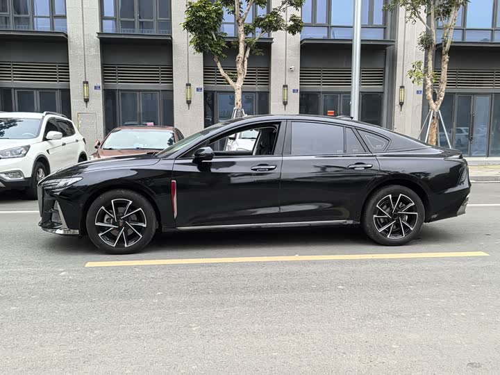 Фото 4 - Hongqi H6