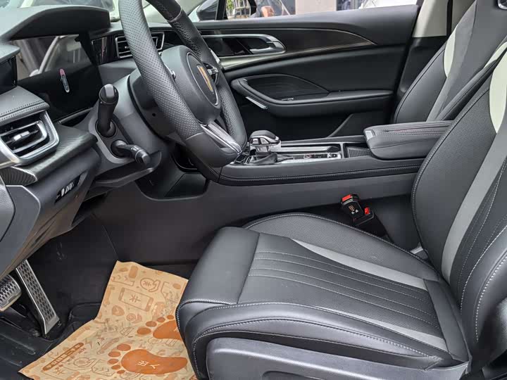 Фото 6 - Hongqi H6