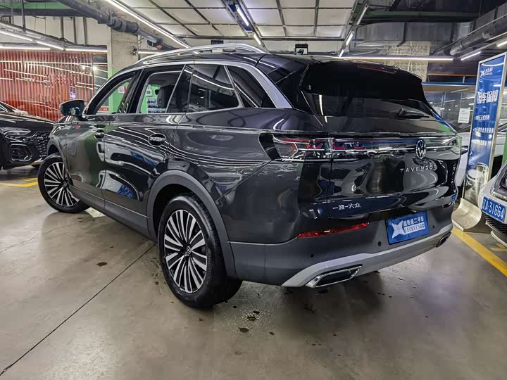 Фото 4 - Volkswagen Tavendor