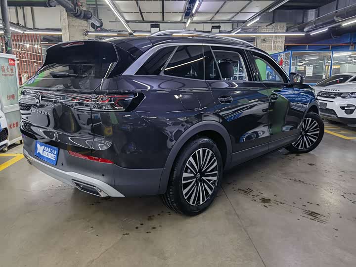 Фото 6 - Volkswagen Tavendor