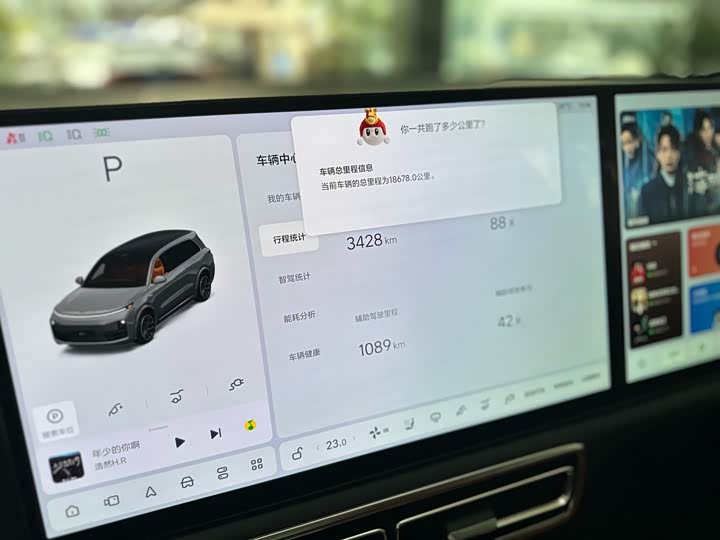 Фото 6 - LiXiang L9