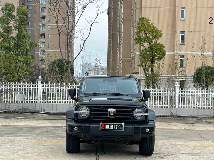 Фото 2 - Tank 300 Hybrid