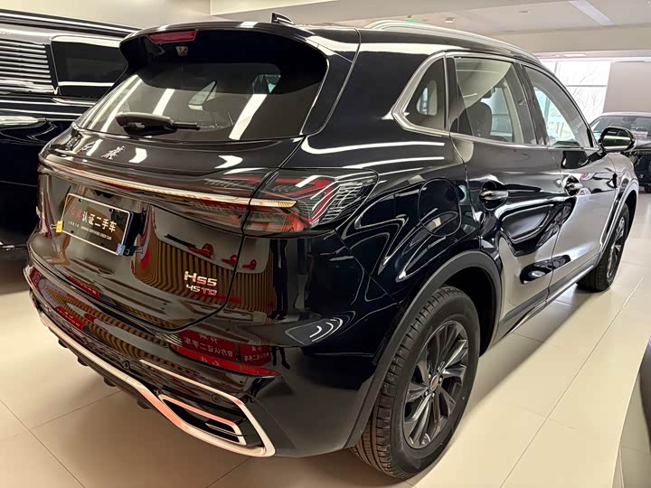 Фото 5 - Hongqi HS5