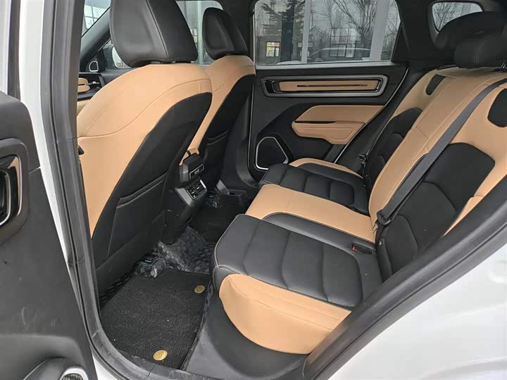 Фото 7 - Geely Icon