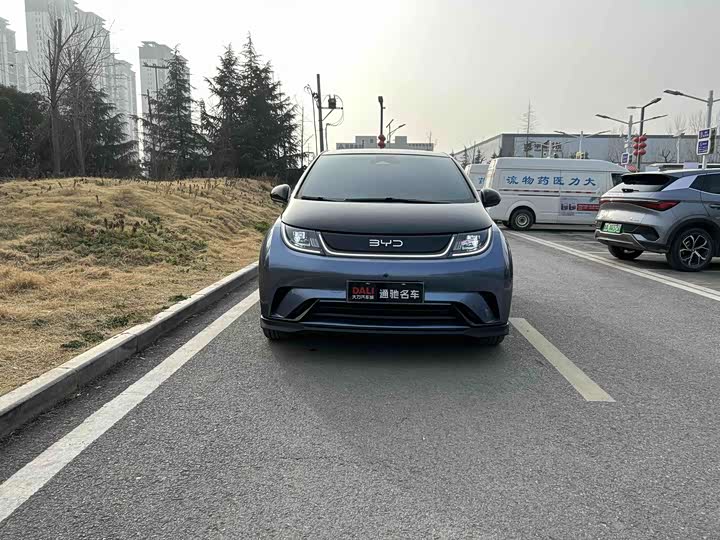 Фото 2 - BYD Dolphin