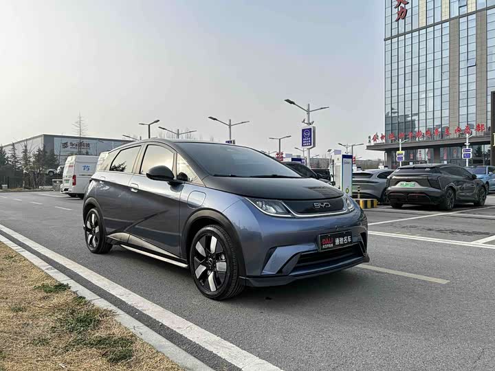 Фото 3 - BYD Dolphin