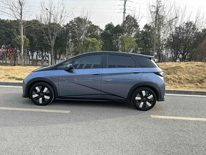 Фото 4 - BYD Dolphin