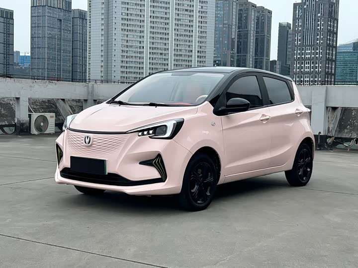 Фото 1 - Changan BenBen E-Star