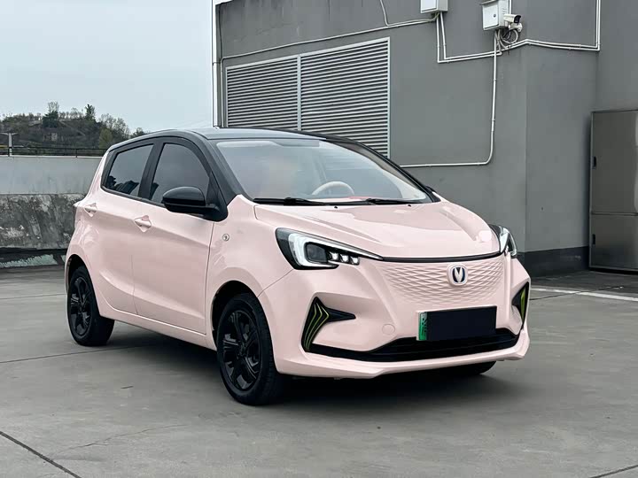 Фото 3 - Changan BenBen E-Star