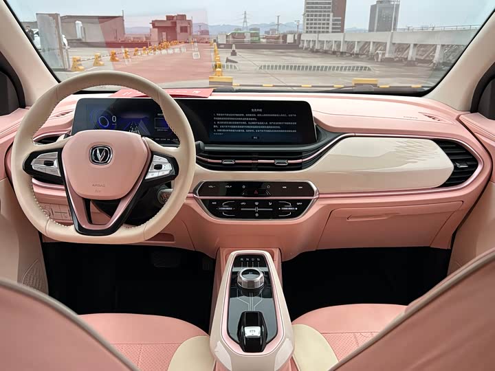 Фото 8 - Changan BenBen E-Star