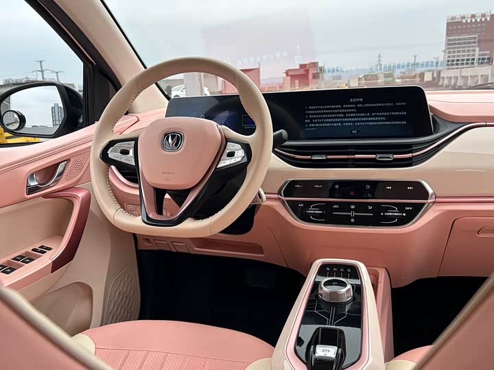 Фото 9 - Changan BenBen E-Star