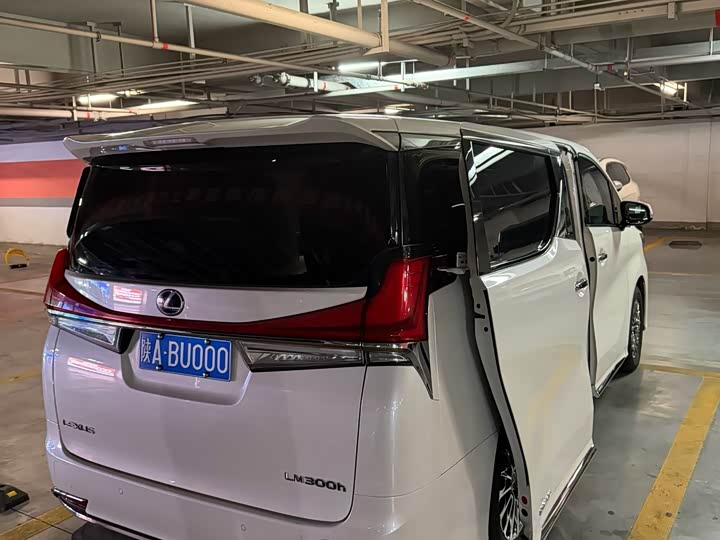 Фото 3 - Lexus LM