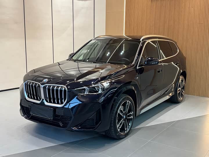 Фото 1 - BMW X1