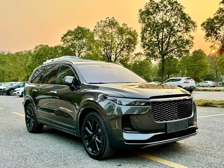 Фото 3 - LiXiang One