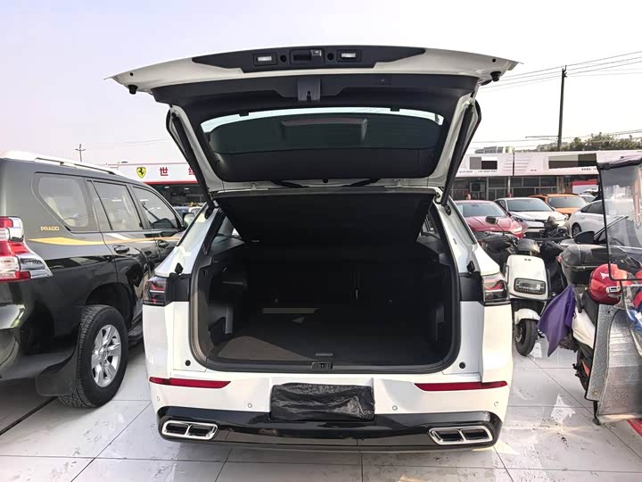 Фото 7 - Volkswagen Tavendor