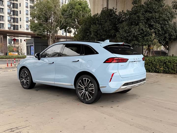 Фото 9 - Wey Mocha