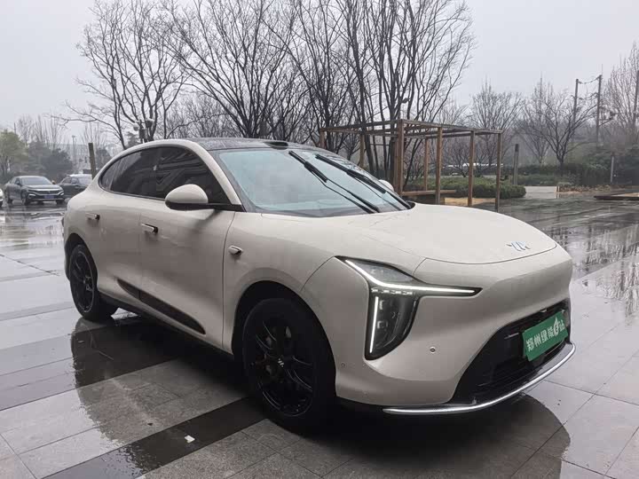 Photo 3 - IM motors LS6