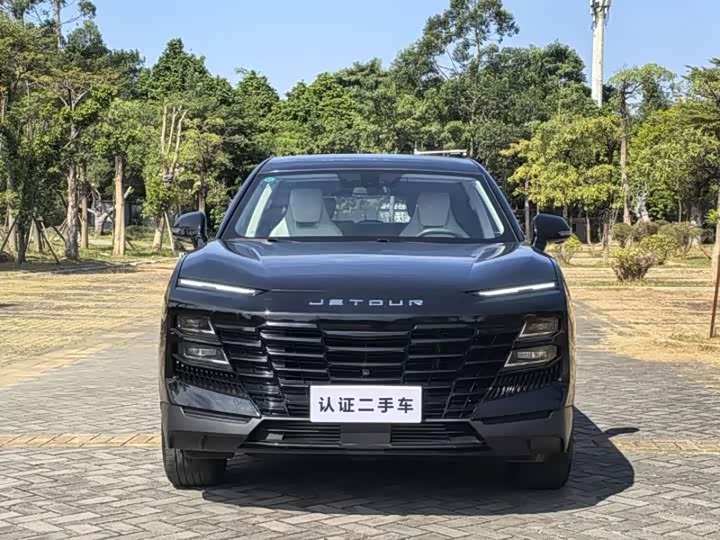 Фото 2 - Jetour Dashing