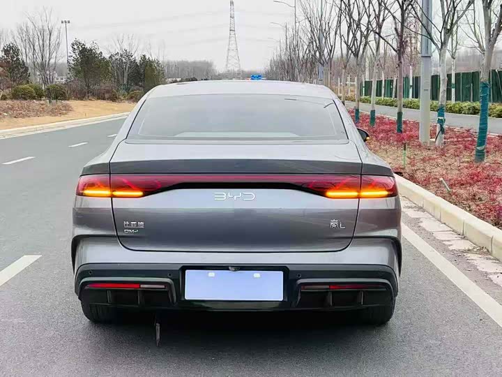 Фото 4 - BYD Qin L