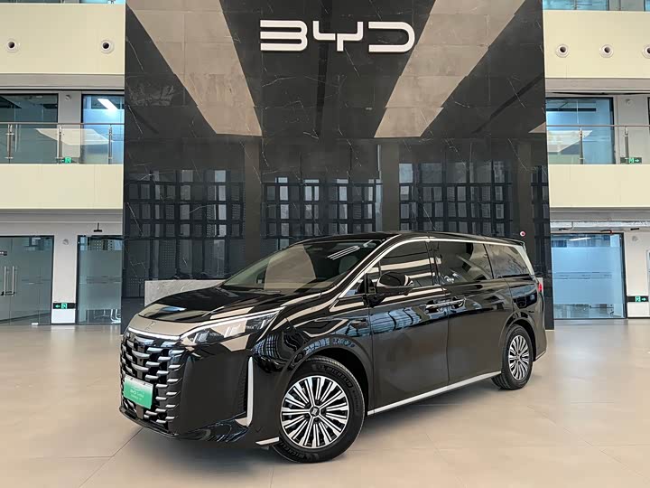 Фото 1 - BYD Xia