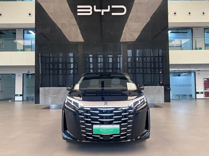 Фото 2 - BYD Xia