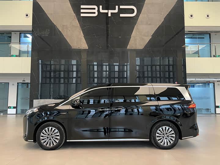 Фото 3 - BYD Xia