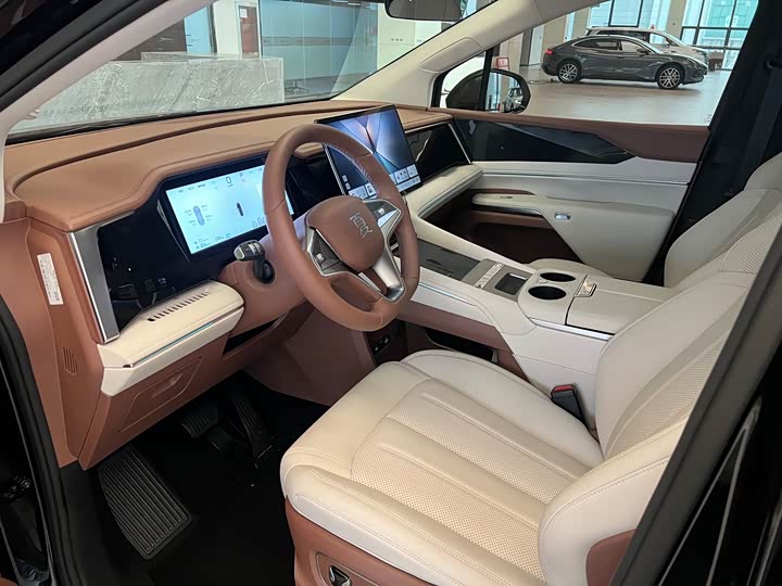 Фото 6 - BYD Xia