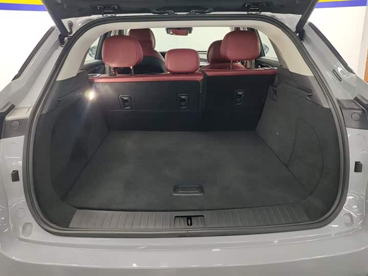 Photo 4 - Exeed RX C-DM Hybrid