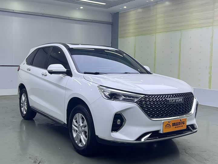 Фото 3 - Haval M6