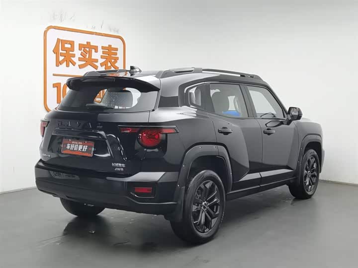 Фото 2 - Haval H-Dog