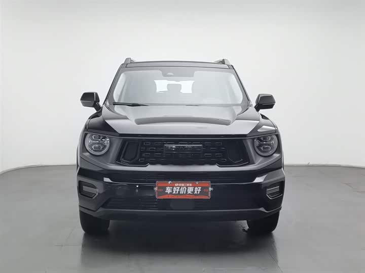 Фото 3 - Haval H-Dog