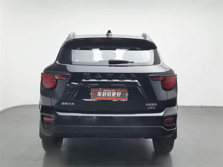 Фото 4 - Haval H-Dog