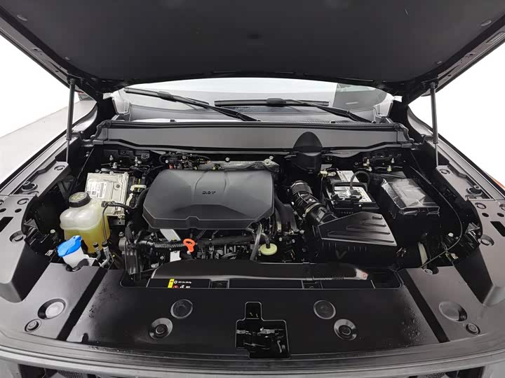 Фото 6 - Haval H-Dog