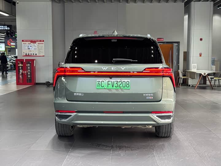 Фото 6 - Wey Lanshan