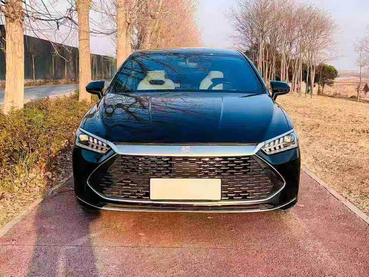 Фото 2 - BYD Qin Plus