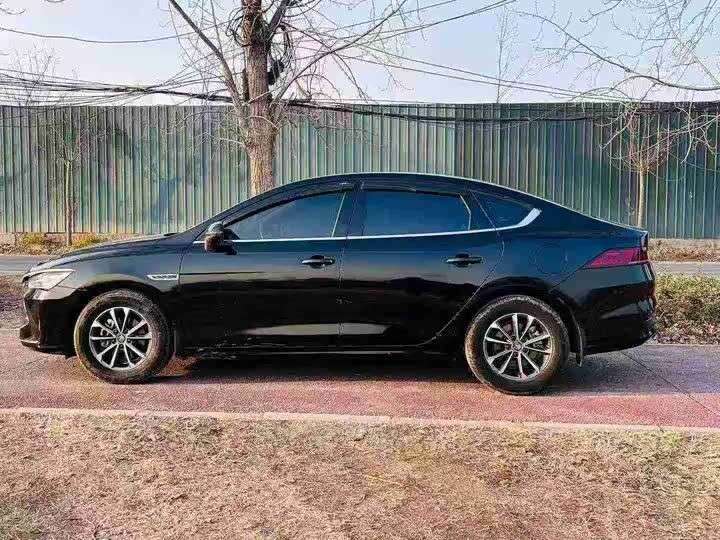 Фото 4 - BYD Qin Plus