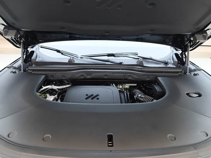 Фото 9 - IM motors LS9