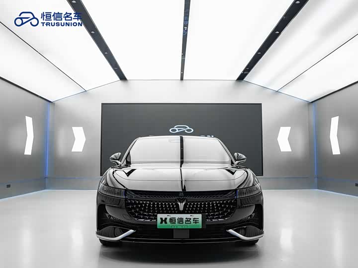 Фото 2 - Voyah Passion