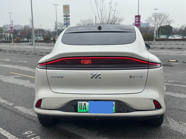 Фото 5 - IM motors LS6