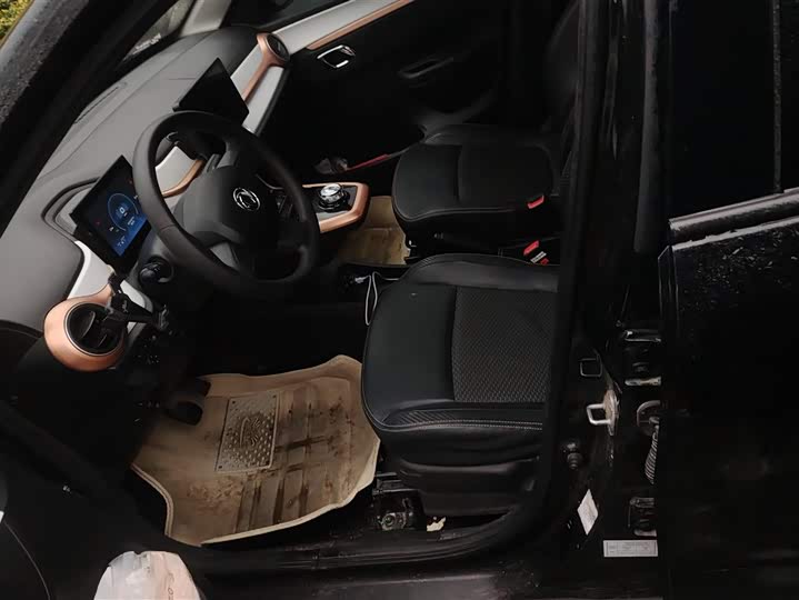 Фото 9 - Dongfeng Yipai Nano EX1