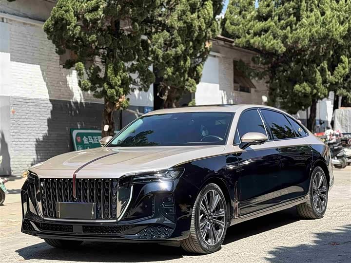 Фото 1 - Hongqi H9