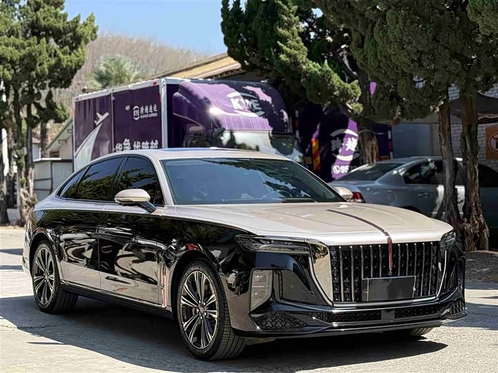 Фото 3 - Hongqi H9