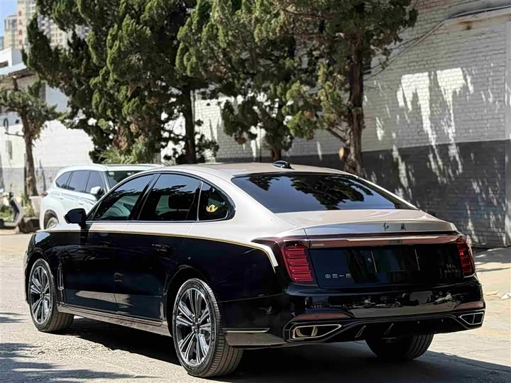 Фото 9 - Hongqi H9