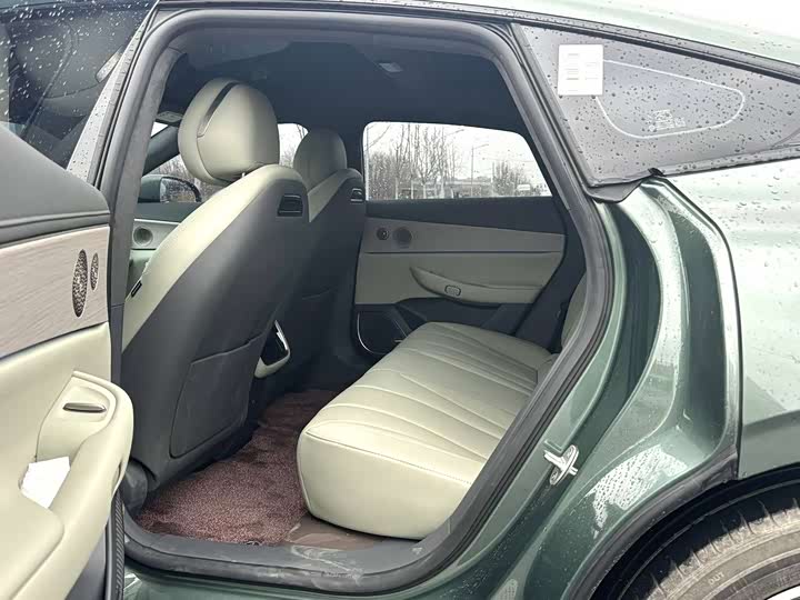 Фото 6 - Exeed Sterra ES