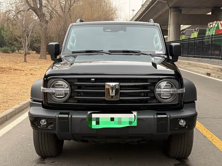 Фото 2 - Tank 300 Hybrid